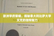 欧洲教育瑰宝，探寻比萨大学文凭的非凡吸引力