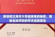 揭开海牙大学成绩单的神秘面纱，探寻国际高等学府的学术真相