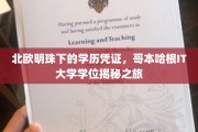探寻哥本哈根IT大学学位的北欧之光，揭秘北欧明珠下的教育奥秘