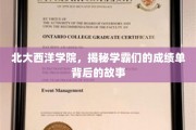 北大西洋学院学霸风云录，揭秘高分背后的不为人知故事