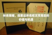 林肯荣耀之光，揭秘名校文凭的非凡价值与无限机遇