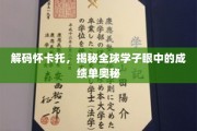 怀卡托之光，揭秘世界学子眼中成绩单的神秘面纱
