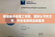 新加坡共和理工学院文凭，助力全球职场新起点