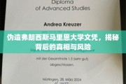 假文凭风波，弗朗西斯马里恩大学文凭造假，揭秘风险与后果