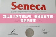龙比亚大学学位背后的传奇，探寻真知背后的故事