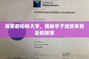 都柏林大学揭秘，学子成绩单背后的成长轨迹