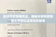 解码欧洲精英学府，探寻东斯特劳斯堡大学学位证的辉煌历程