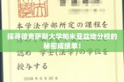 揭开德克萨斯大学帕米亚盆地分校成绩单背后的神秘面纱