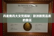 解锁北欧教育明珠，丹麦南丹大学文凭背后的高品质奥秘