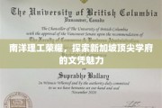 解码南洋辉煌，新加坡精英学府的文凭魅力揭秘