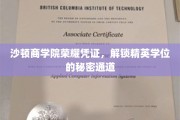 沙顿精英学府，揭秘精英学位的神秘解锁之道