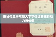 荷兰蒂尔堡大学学位证，解锁国际教育品质的璀璨钥匙