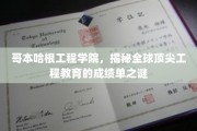 哥本哈根工程奇才，揭秘国际工程教育的卓越成就榜