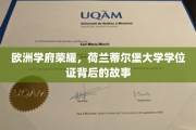 欧洲学术璀璨之星，揭秘蒂尔堡大学学位证的传奇之路