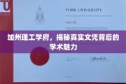 揭开加州理工学府文凭之谜，探寻学术魅力与真知灼见