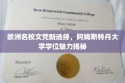跨国教育新篇章，阿姆斯特丹大学学位的非凡吸引力
