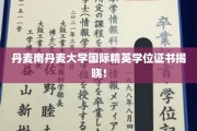 揭开南丹麦大学国际精英教育新篇章，学位证书荣耀亮相！