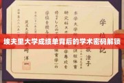 解码埃夫里大学成绩单，隐藏的学术奥秘揭晓