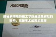 揭开罗彻斯特理工学院成绩单的神秘面纱，探寻学术辉煌的秘密武器