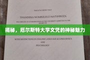 探寻厄尔斯特大学文凭的独特吸引力