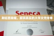 斯旺西传奇，揭秘大学文凭背后的辉煌故事