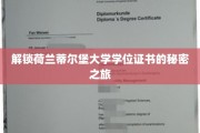 探秘荷兰蒂尔堡大学，学位证书背后的精彩旅程