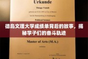 德岛文理大学成绩单里的青春足迹，学子们的拼搏之路大揭秘