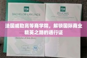 法国威勒商学院，开启全球商业领袖之旅的黄金钥匙