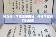 杨百翰大学学霸养成记，探寻高材生背后的独门秘籍