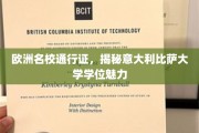 解锁意大利比萨大学，欧洲教育殿堂的璀璨学位之光