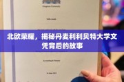 丹麦利利贝特大学，探寻北欧教育之光背后的传奇文凭