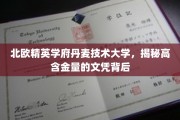 揭开丹麦技术大学文凭背后的精英教育奥秘
