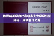 杜塞之光，揭秘杜塞尔多夫大学学位背后的非凡人生轨迹