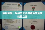 麻省光环揭秘，全球精英如何成就毕业证书背后的传奇之路