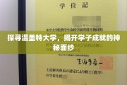 温盖特大学奇迹揭秘，学子成就背后的神秘力量