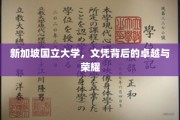 解码狮城荣耀，新加坡国立大学文凭的非凡魅力