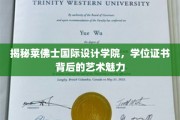 解码莱佛士设计精英，学位证书中的艺术密码