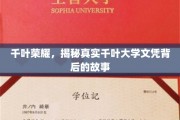 千叶大学文凭之谜，探寻背后的荣耀与真相