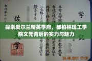 解码都柏林理工学院，精英摇篮的学术光芒与独特魅力