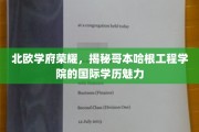 探寻哥本哈根工程学院，北欧教育明珠的国际学历风采