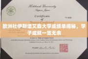欧洲杜伊斯堡艾森大学成绩单揭秘，学子成就一览无余