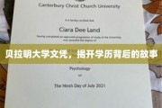 学历背后的传奇，贝拉明大学文凭背后的秘密旅程