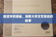 湖南大学文凭背后的韩流传奇，揭秘明星学子的求学之路