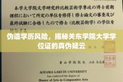学历造假陷阱，关东学院学位证真伪之谜曝光