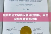 解码宾汉顿，揭秘纽约州立大学成绩单的神秘面纱