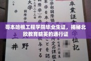 哥本哈根工程学院毕业生证，揭秘北欧教育精英的通行证