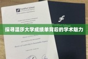 解码温莎大学成绩单，一窥学术精英的非凡风采