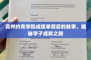 宾州约克学院成绩单背后的传奇，学子砥砺前行的奋斗轨迹