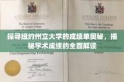解码纽约州立大学成绩单，一窥学术成就的深度解析