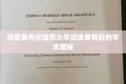 解码新布伦瑞克大学成绩单，探寻学术成就的秘密线索